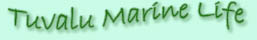 tml_new